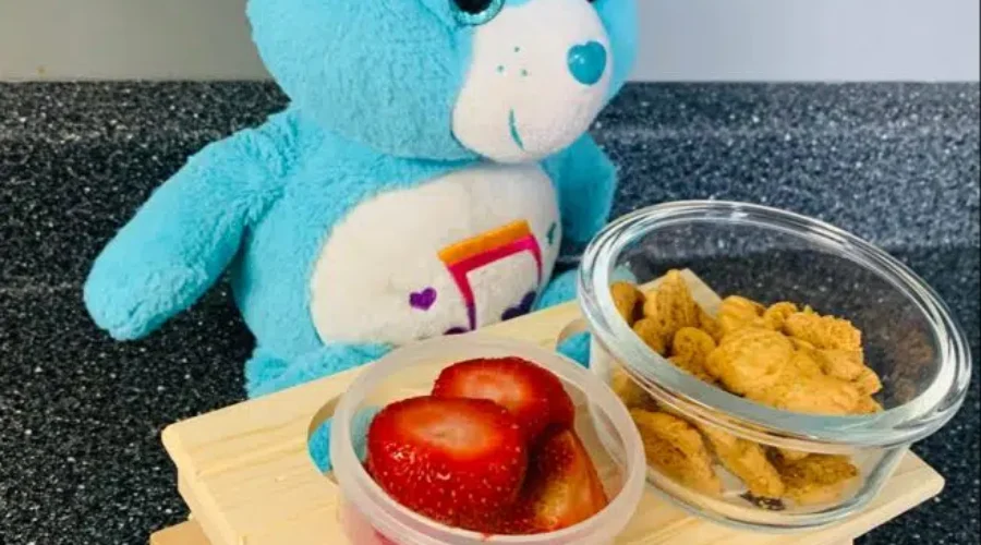 Teddy Bear Picnic