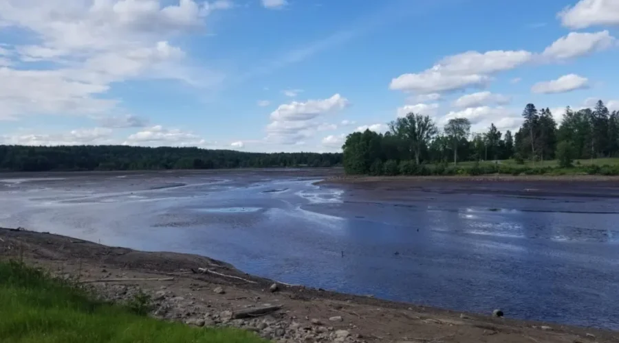Empty Lake Could Be Cleaned Up