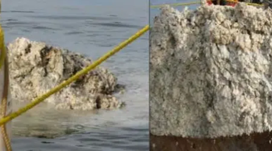 $65M Plan Selected For Harbour Clean-Up