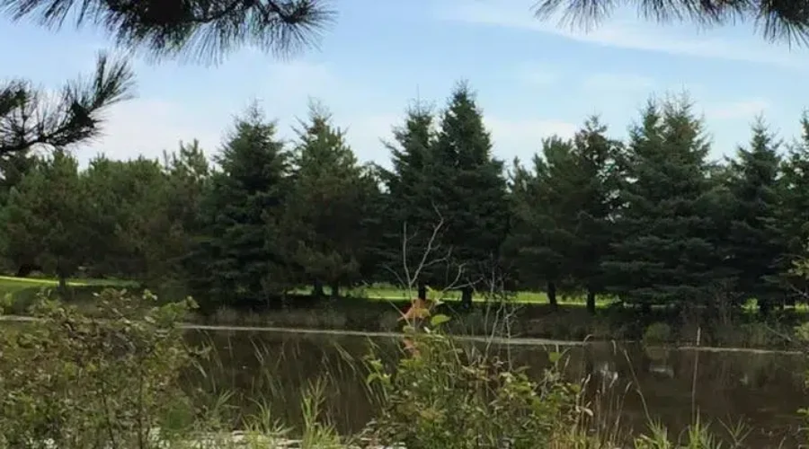 Scary Moments As Woman Falls In Floodway