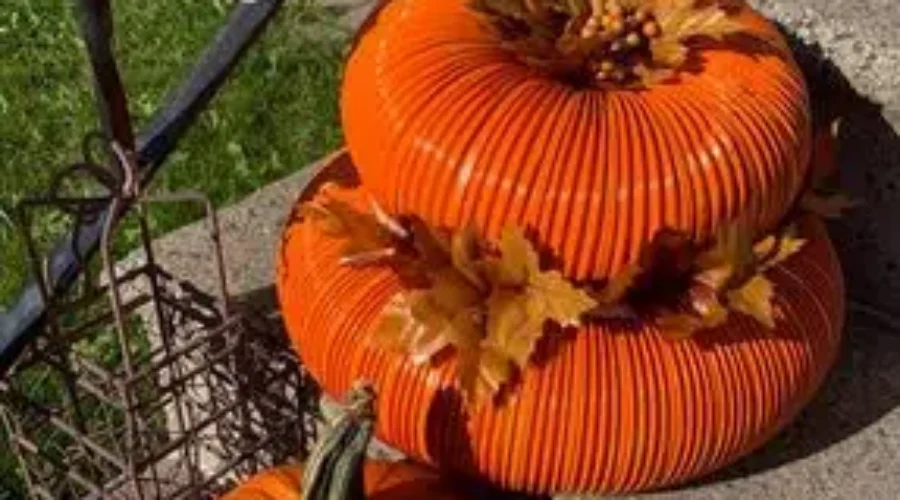 Hey Pumpkin!
