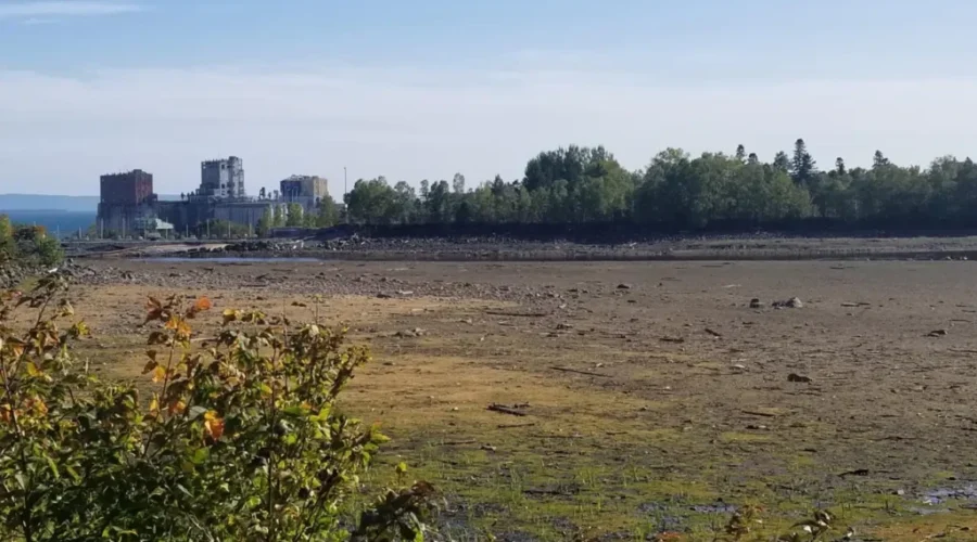 Boulevard Lake Cleaned While Dam Fixed
