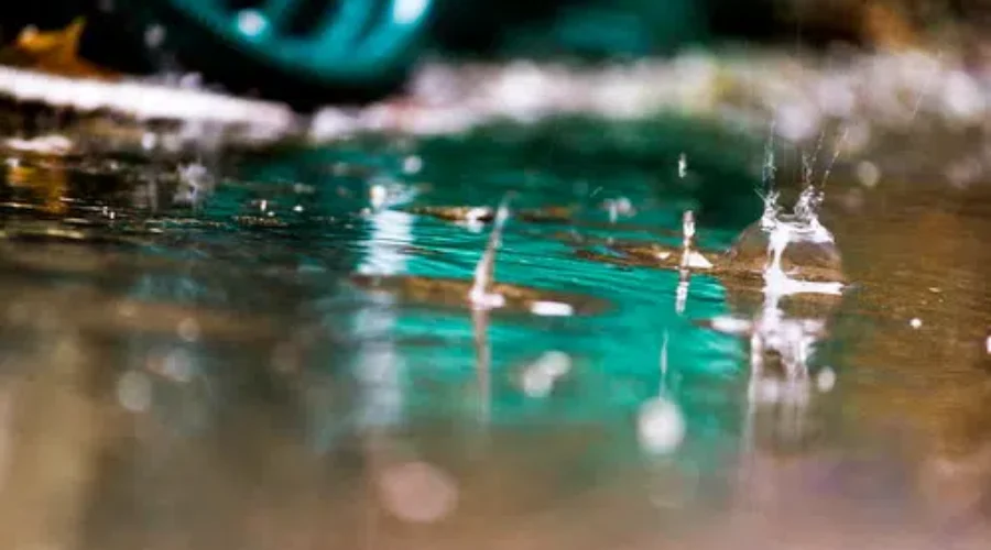 Weather Statement: Heavy Rain Expected