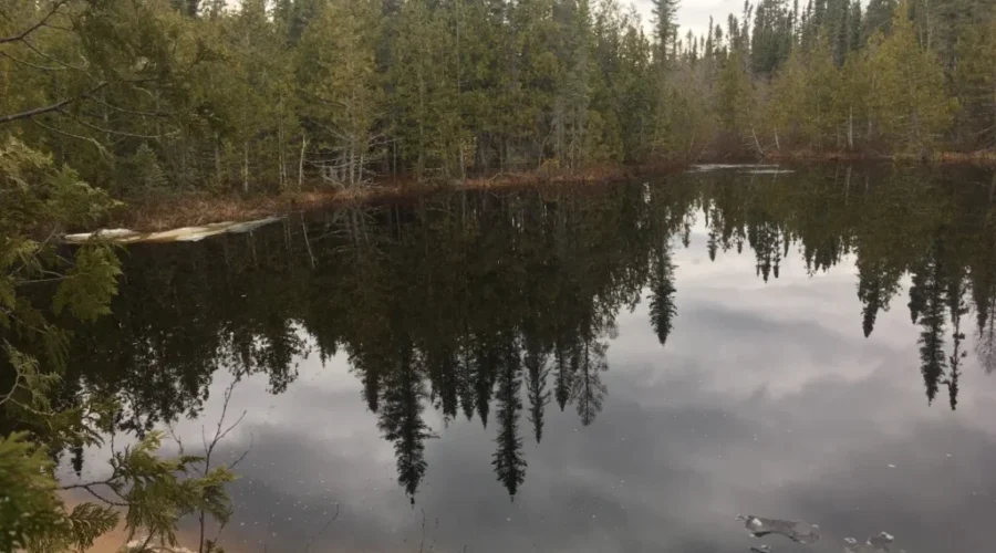 Men Try To Protect Crash Site From Foresting