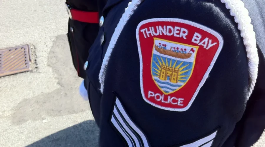 Shoplifter arrested after stealing from local business 30 times