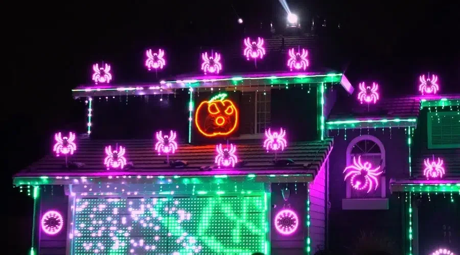 Watch: Amazing Synchronized Light Shows