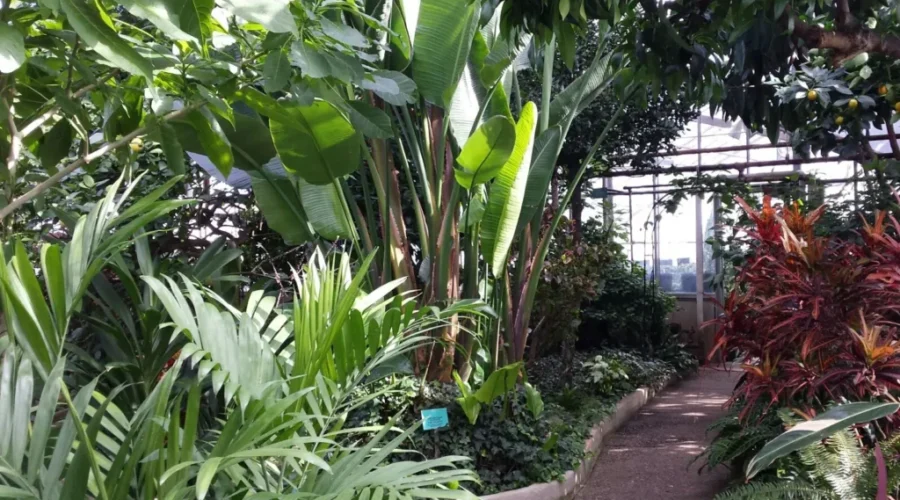 $1.4M Set Aside For Conservatory Work