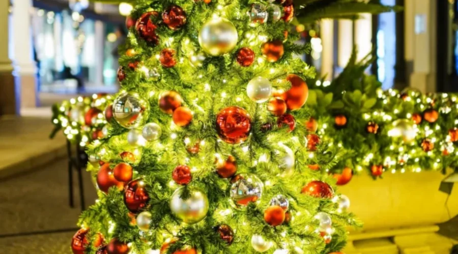 When To Put Up The Christmas Tree??