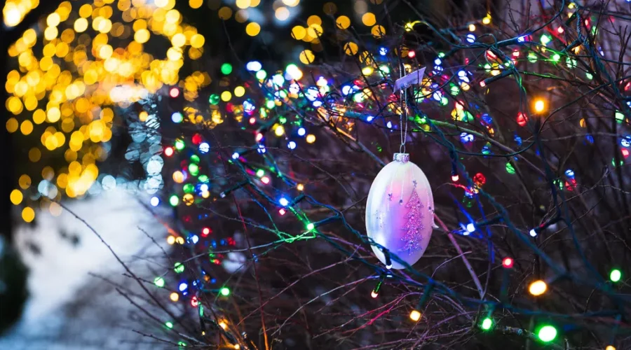 Businesses Light Up Waterfront For Charity