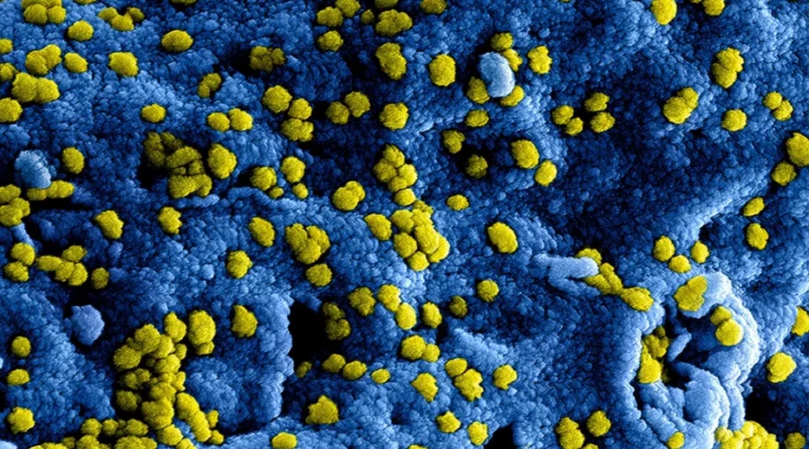 Area Mine Hit With COVID Cases