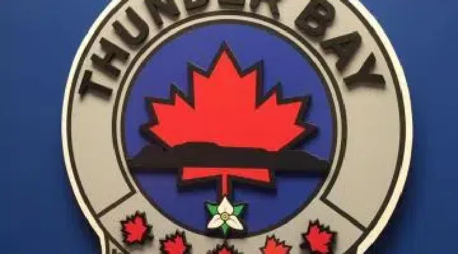 City Council’s Power Over Police Limited