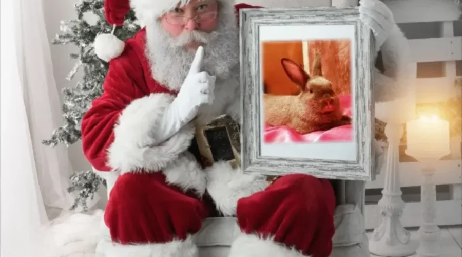 Christmas This Year