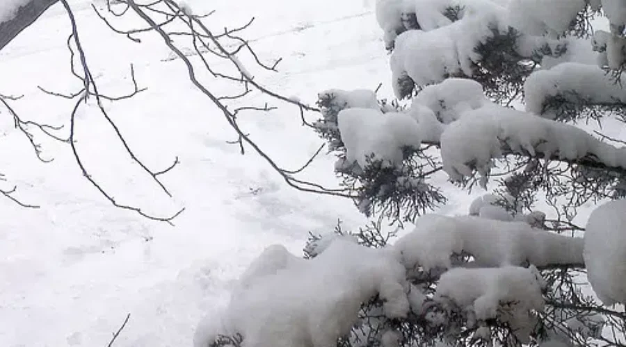Thunder Bay Escapes Brunt Of Snow