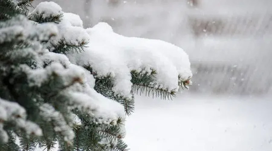 City Under Cold Weather Alert