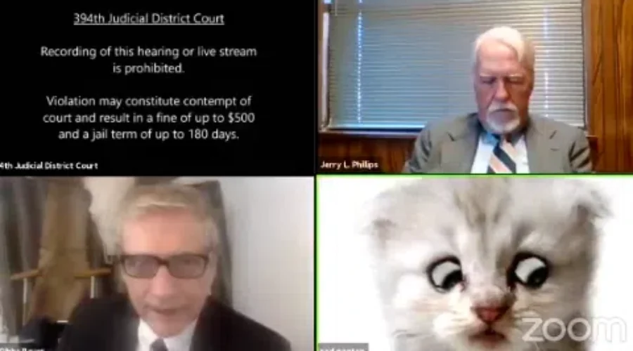 WATCH: I am a Lawyer Not a Cat