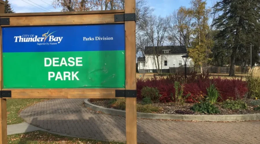 City Seeks Input On Skateboard Park