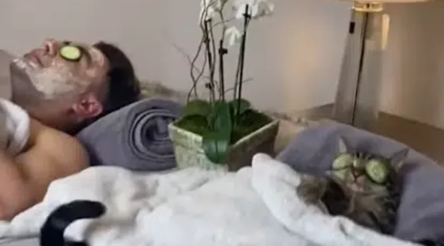 WATCH: The Ultimate Cat Dad