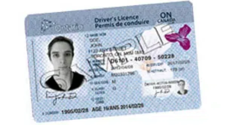License Renewal Reminders Going Online