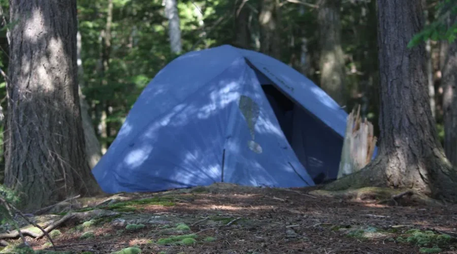 No Camping Permitted On Crown Land, Temporarily