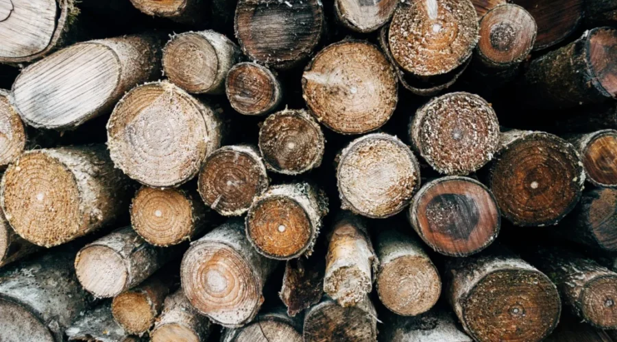 Forestry Group Satisfied With Budget