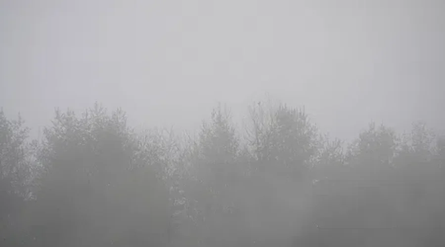 Day Of Fog, Wind, Sun, For Thunder Bay