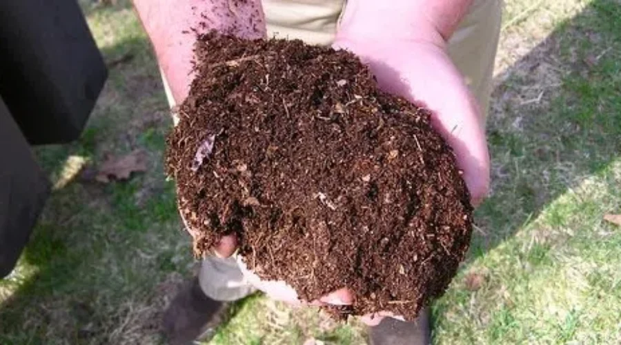 Free Compost Back While Supplies Last