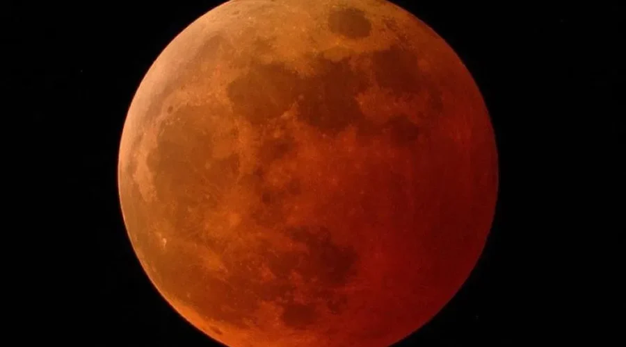 Flower Blood Moon