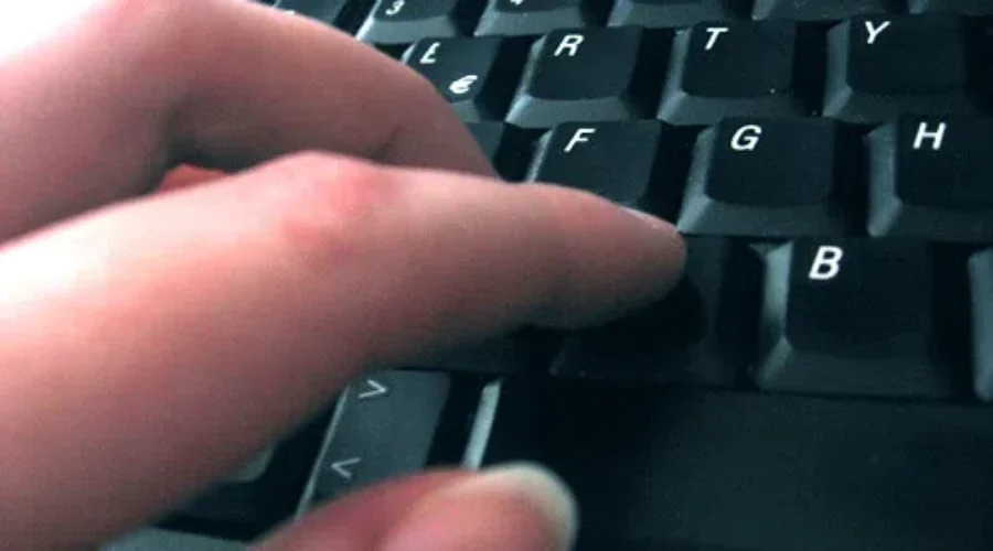 Survey Looks At Surge In Online Shopping