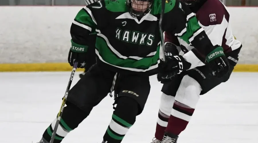 Lakehead League Hopes For Full Hockey Season