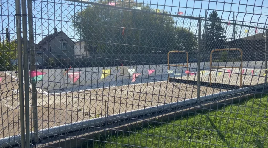 Further Input In Repurposing Dease Pool Site