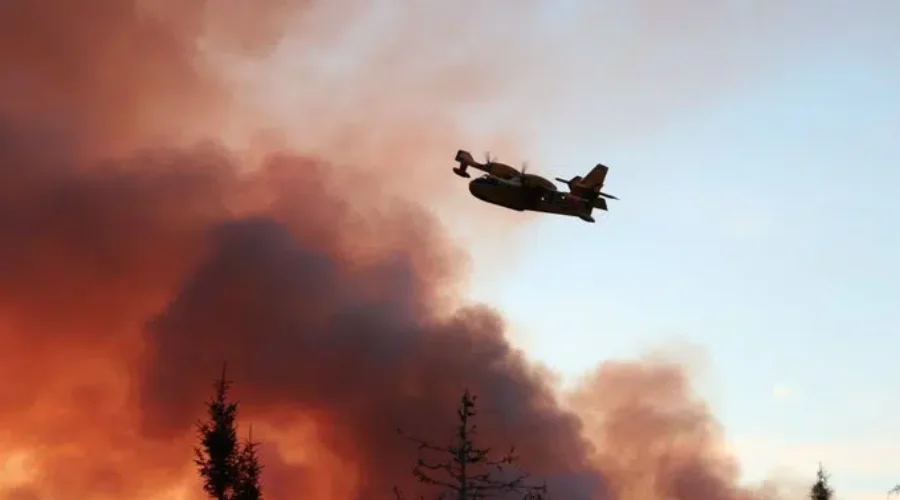 Fire Evacuees Heading Home