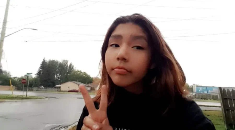 Police Seek Missing Girl
