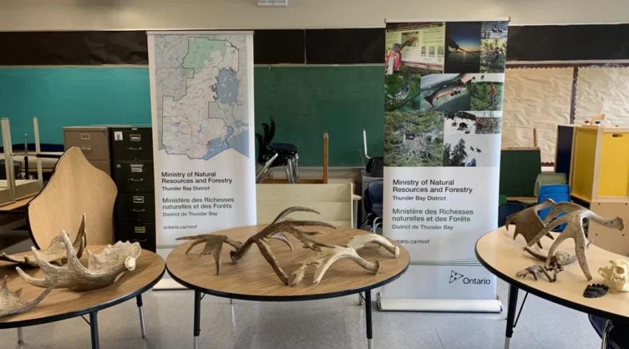 Environmental Education For Thunder Bay Students