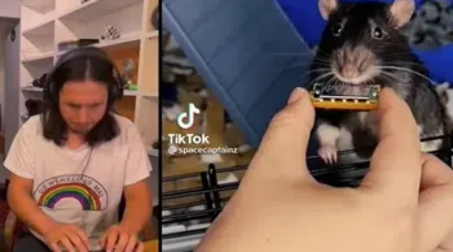 WATCH: Check Out The Kiffness!!