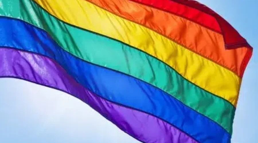 UPDATE: Suspect Apprehended In Pride Symbol Vandalism Case