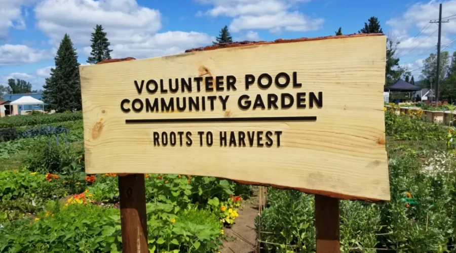 Roots to Harvest Joins National Partnership
