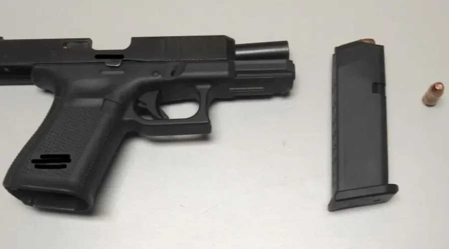 North Side Drug, Gun Bust