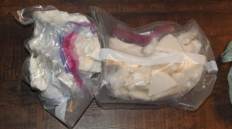 $770K Drug Bust In Thunder Bay