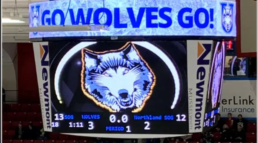 Thunderwolves On The Road Again