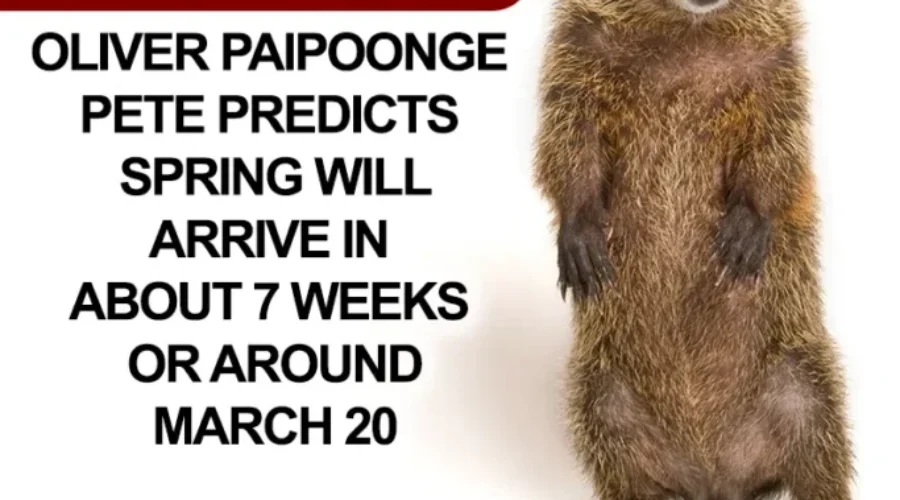 Oliver Paipoonge Pete / and TED….prediction for Groundhog Day!