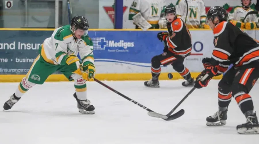 Home Cooking For Fighting Walleye, North Stars