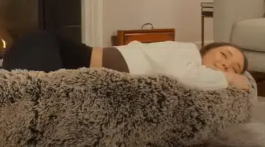 Dog Beds For Humans