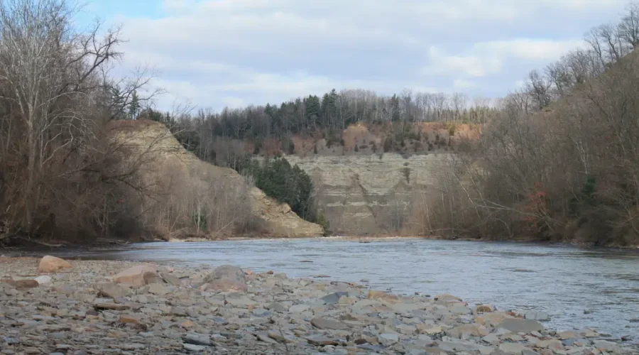 8,000 Year Old Human Skull Found In A River
