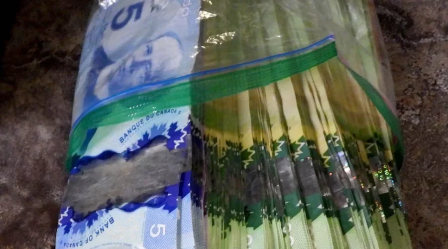 Another Traffic Stop, Another Drug Bust