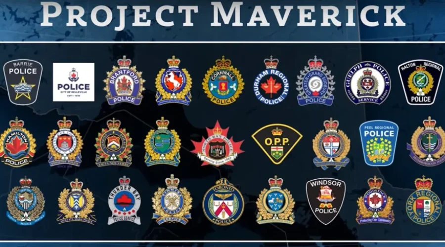 Project Maverick Numbers