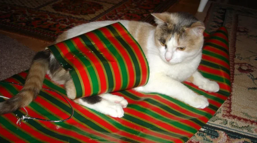 Wrapping Paper = NOT Recyclable