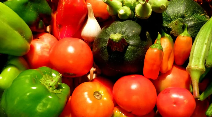 Cost Of Groceries Climbs In Northwestern Ontario