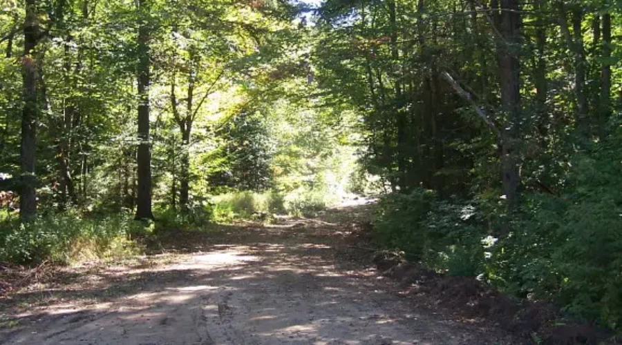 OFIA Presents Case for Forest Access Road Maintenance