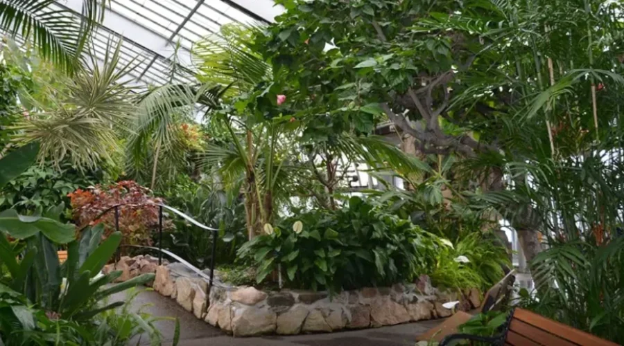 Conservatory To Temporarily Reopen