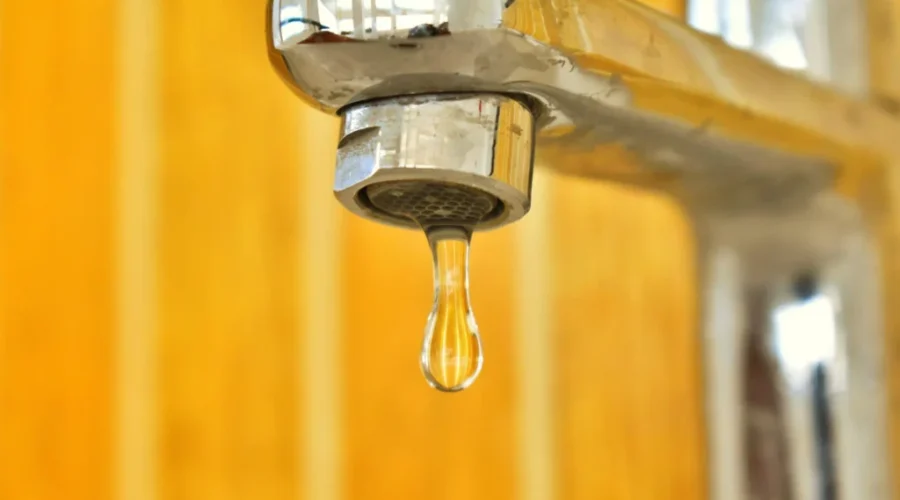 Mount Forest Boulevard area water restored